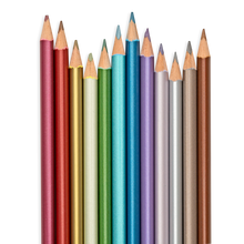 Load image into Gallery viewer, Modern Metallic Coloured Pencils