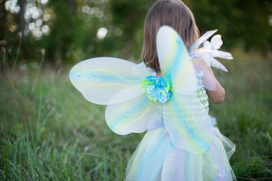 Multi-colour Butterfly Dress, Wings and Wand
