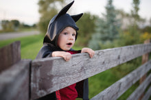 Load image into Gallery viewer, Baby Reversible Spider/Bat Cape