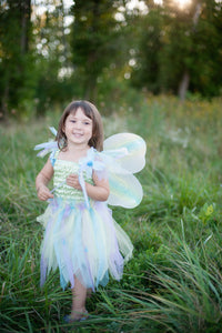 Multi-colour Butterfly Dress, Wings and Wand