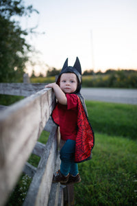 Baby Reversible Spider/Bat Cape